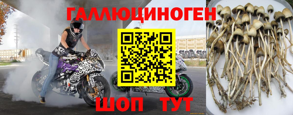 Псилоцибиновые грибы GOLDEN TEACHER  Галлюциногенные грибы Psilocybe  Кумертау  Вход с VPN 